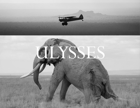 Ulysses