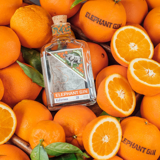 Elephant Orange Cocoa Gin 500ml