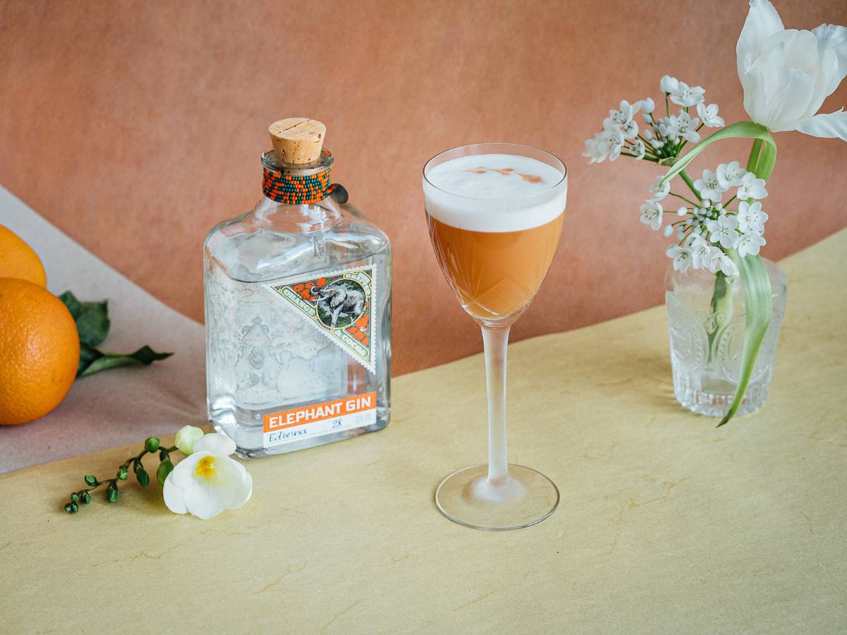 Giin Example Orange Cocoa Sour – Elephant Gin