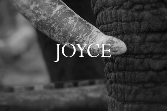 Joyce