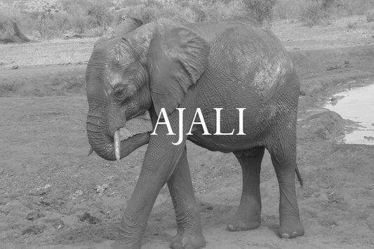 Ajali