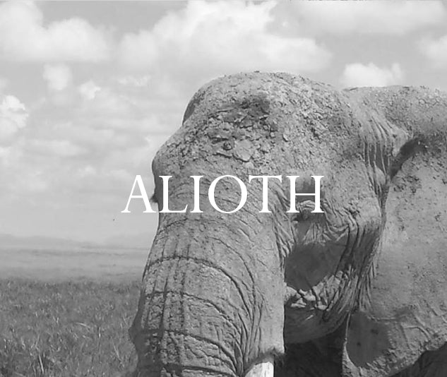 Alioth