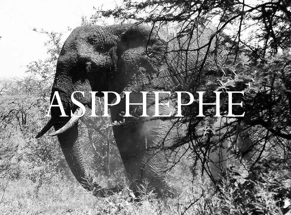 Asiphephe