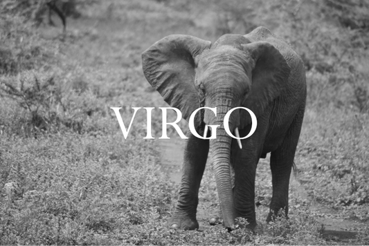 Virgo