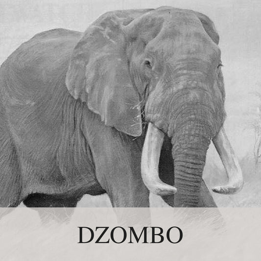 Dzombo