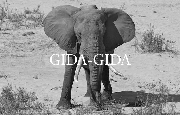 Gida-Gida