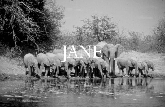 Jane