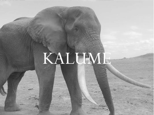 Kalume