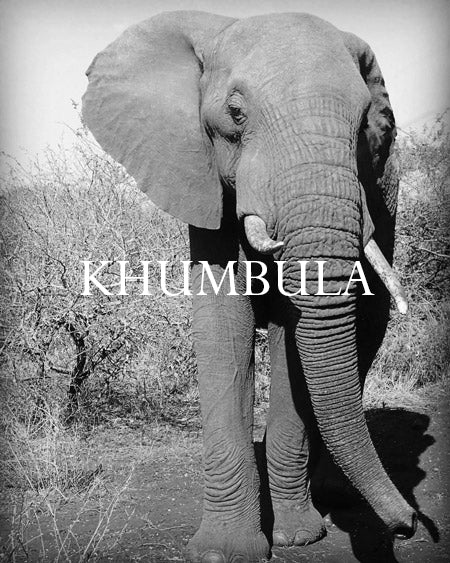 Khumbula