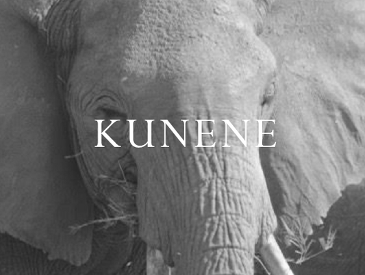 Kunene