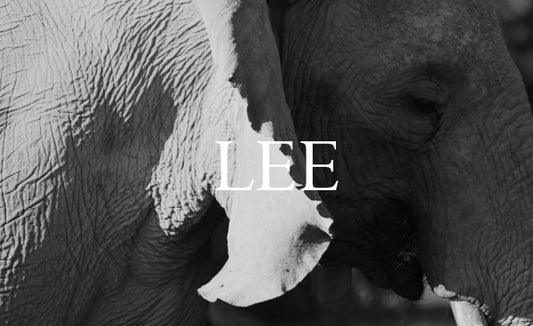 Lee