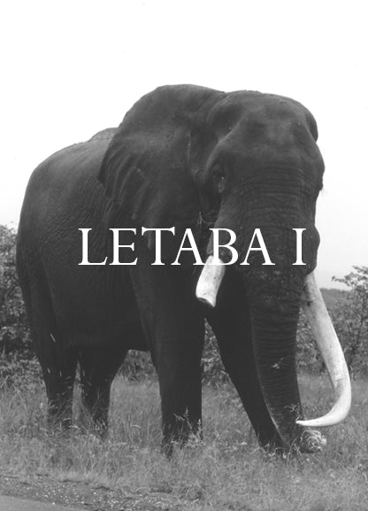 Letaba I