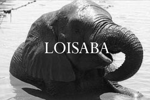 Loisaba
