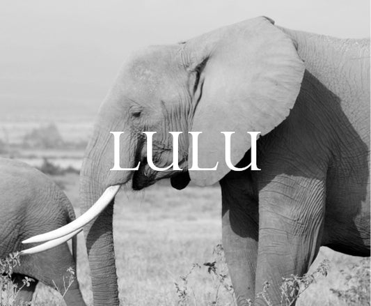 Lulu