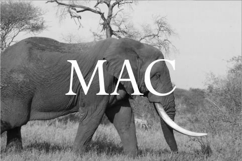 Mac