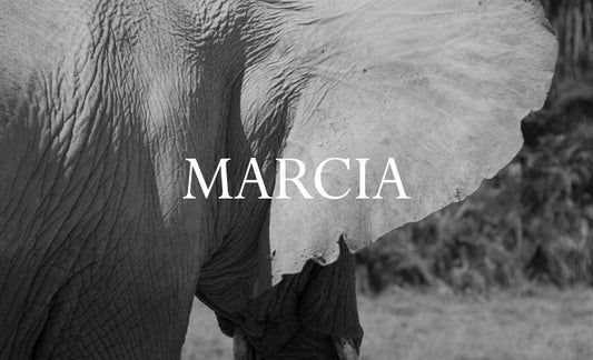 Marcia