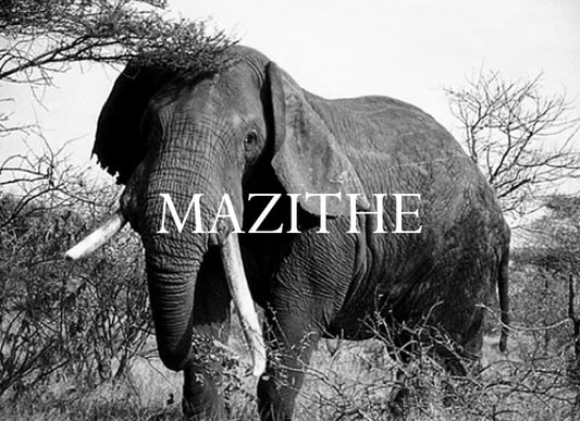 Mazithe