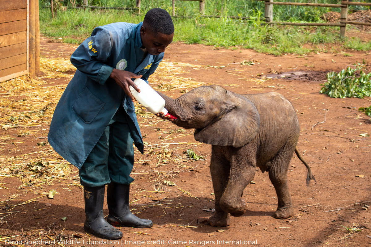 Mataya – Elephant Gin
