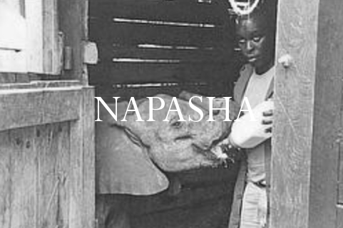 Napasha