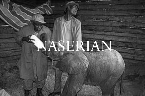 Naserian