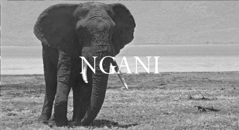 Ngani