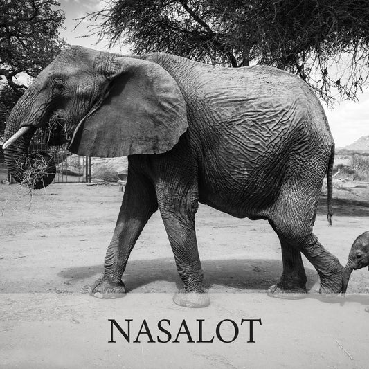 Nasalot