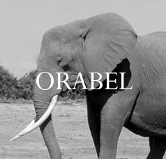 Orabel