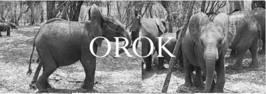 Orok