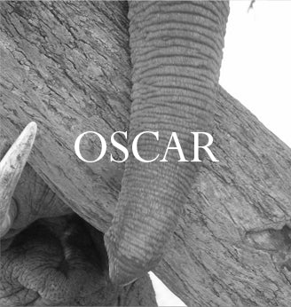 Oscar