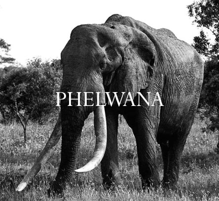 Phelwana