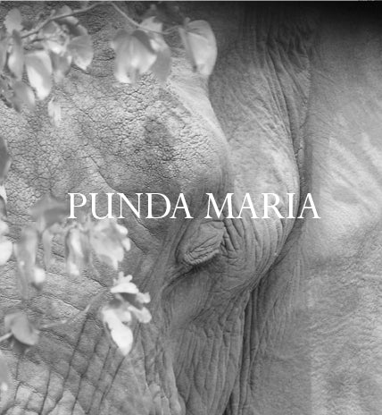 Punda Maria