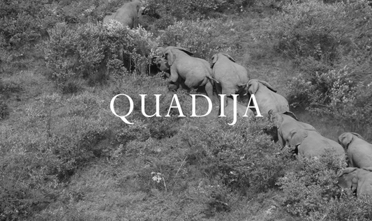 Qadija