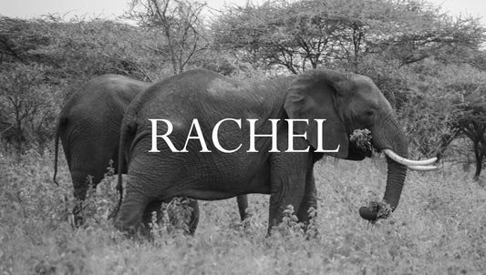 Rachel