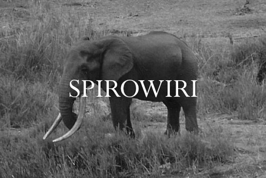 Spirowiri