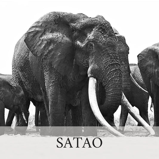 Satao