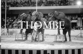 Thombe