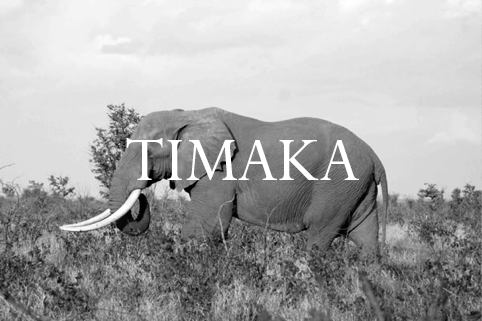 Timaka