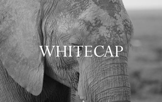 Whitecap