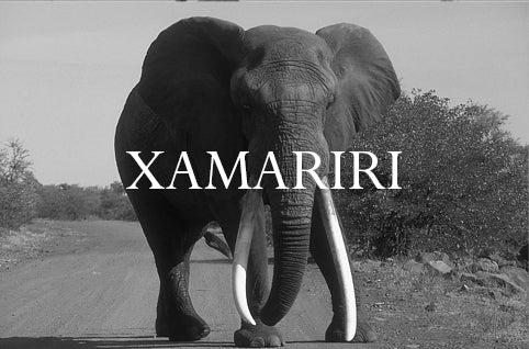 Xamariri