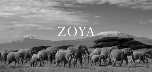 Zoya