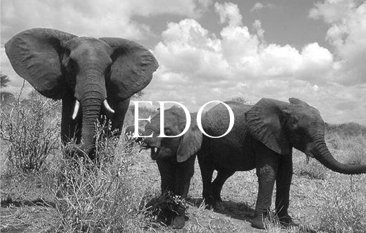 Edo