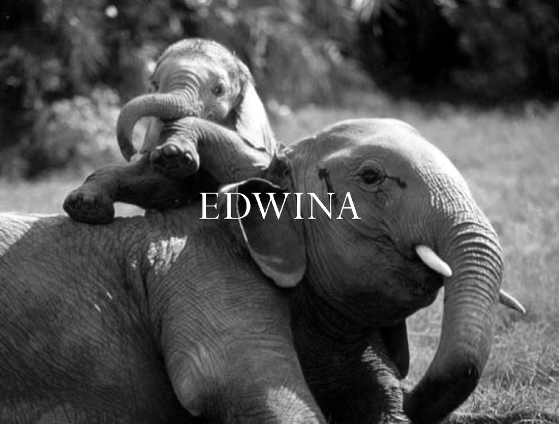Edwina