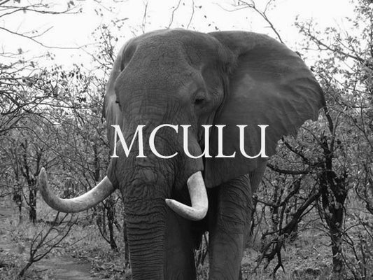 Mculu