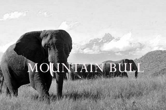 Mountain Bull