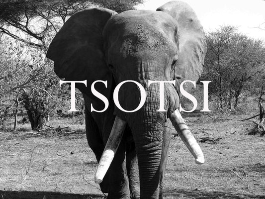 Tsotsi