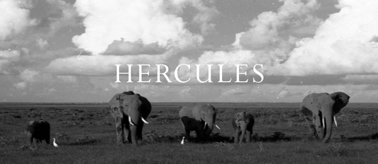 Hercules