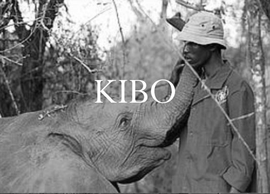 Kibo