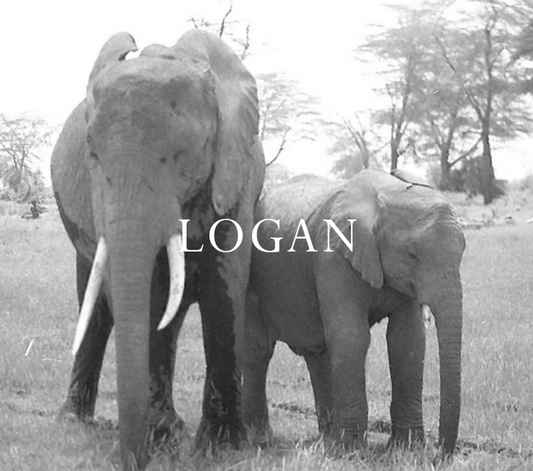 Logan