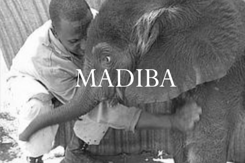 Madiba