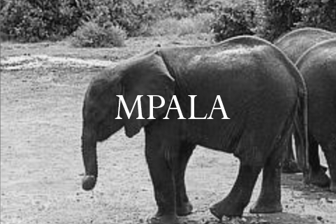 Mpala